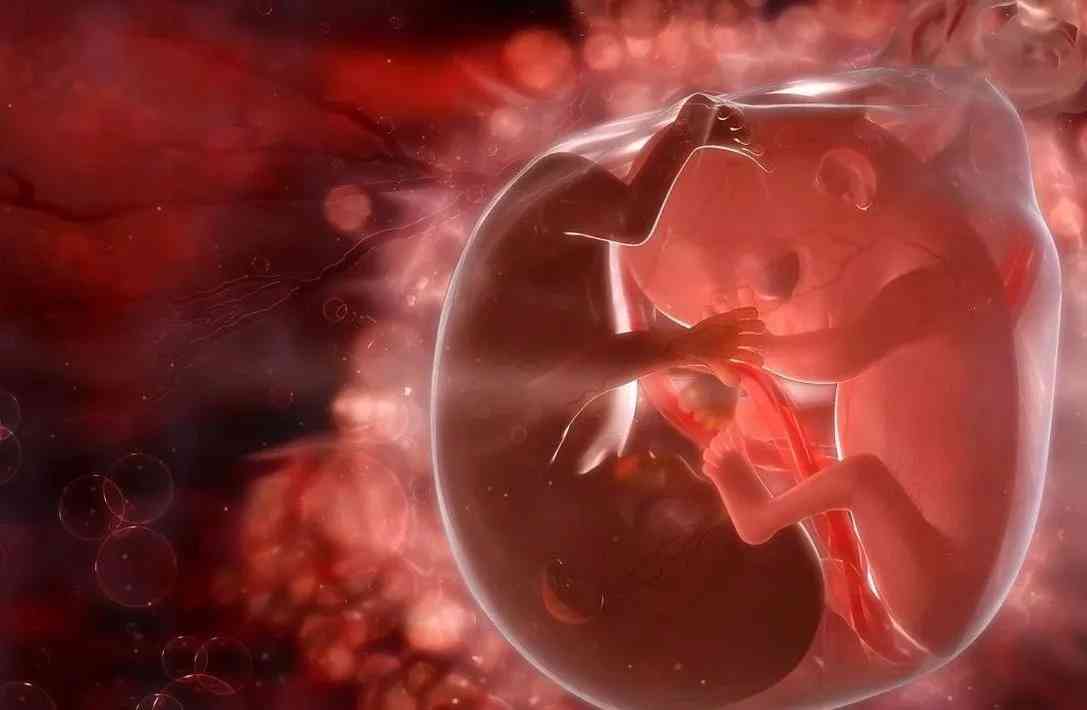 孕早期的胚胎并不稳定