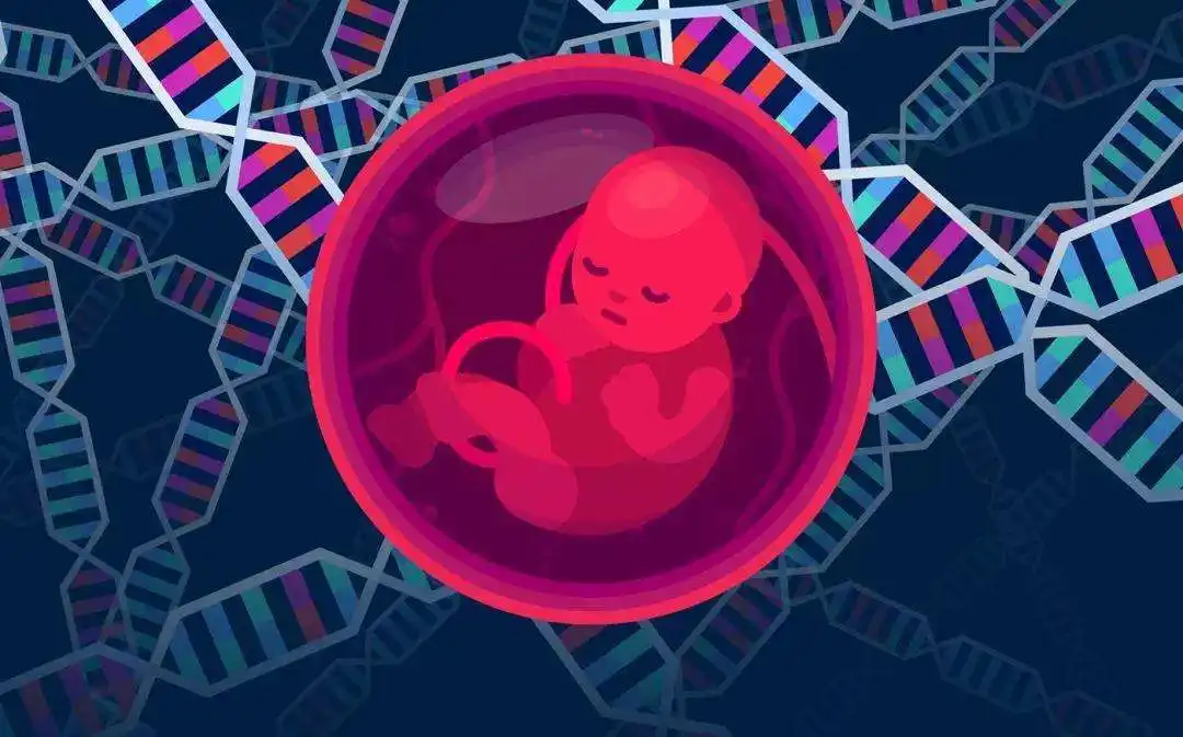 染色体异常会影响胚胎质量