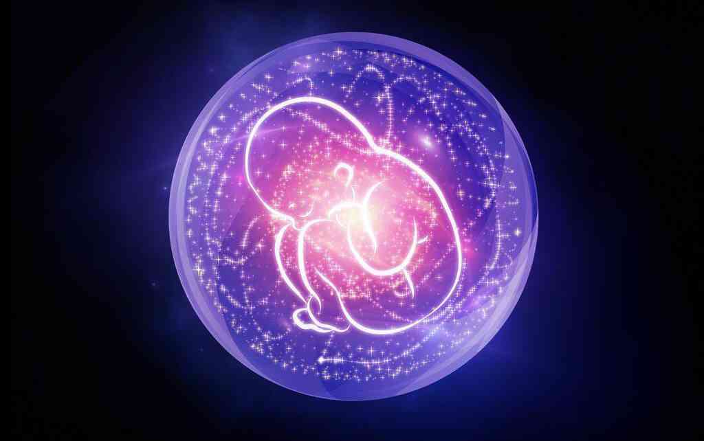 怀孕最初的胚胎尚处于不稳定状态