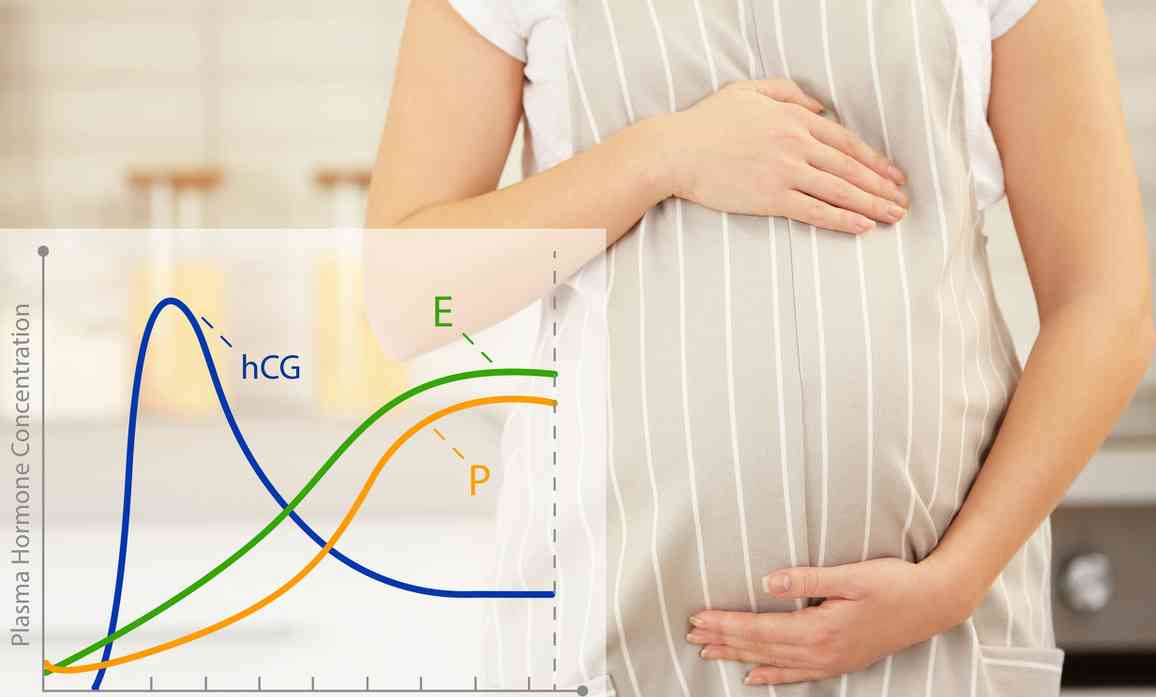 HCG增高会导致孕吐严重