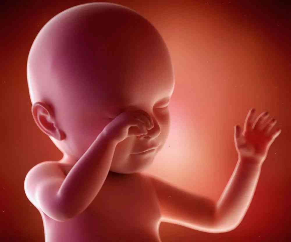 三维彩超看男女最准的方法