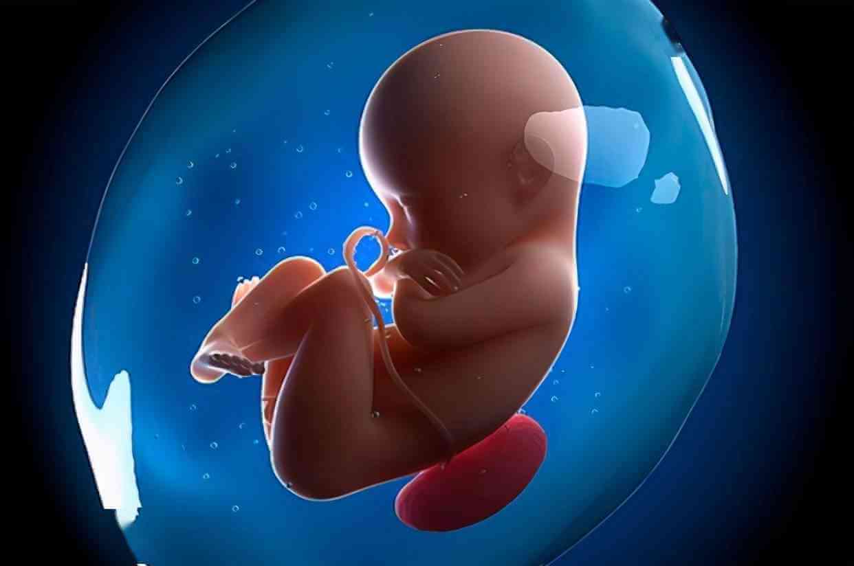 胎儿发育因基因突变会导致火棉胶婴儿