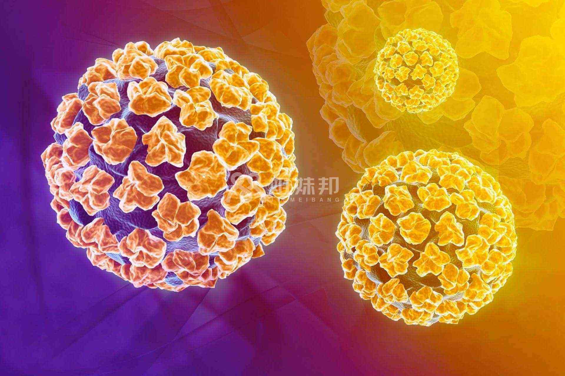 二价疫苗能预防16和18型宫颈癌