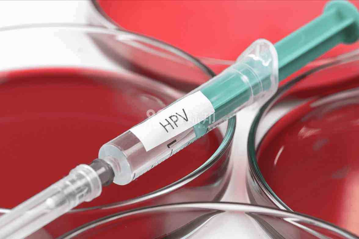 HPV二价疫苗的稳定性较好