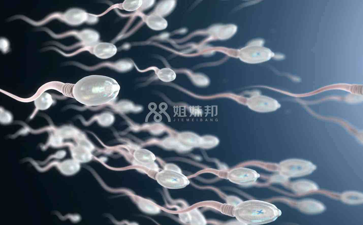 男性精子问题可能会引起胎停育