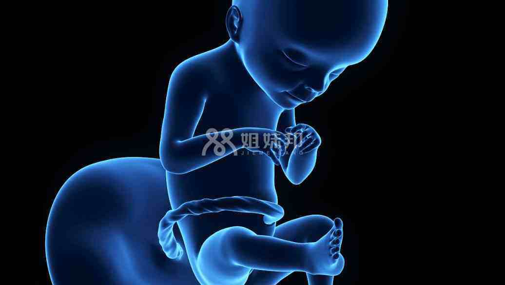 孕晚期胎停表现为发育缓慢