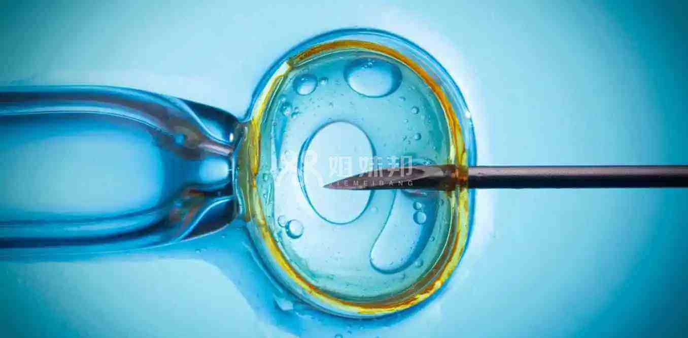 优质胚胎移植成功率高