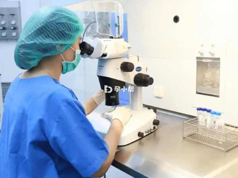 PGS技术可以准确筛选胚胎性别