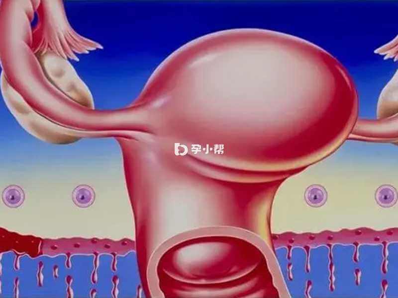 子宫内膜感染可能导致宫腔粘连