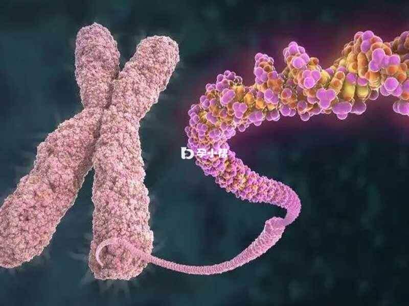 染色体增加了不健康的胚胎