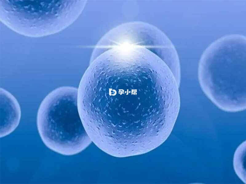 基础卵泡数量代表卵巢功能是否正常