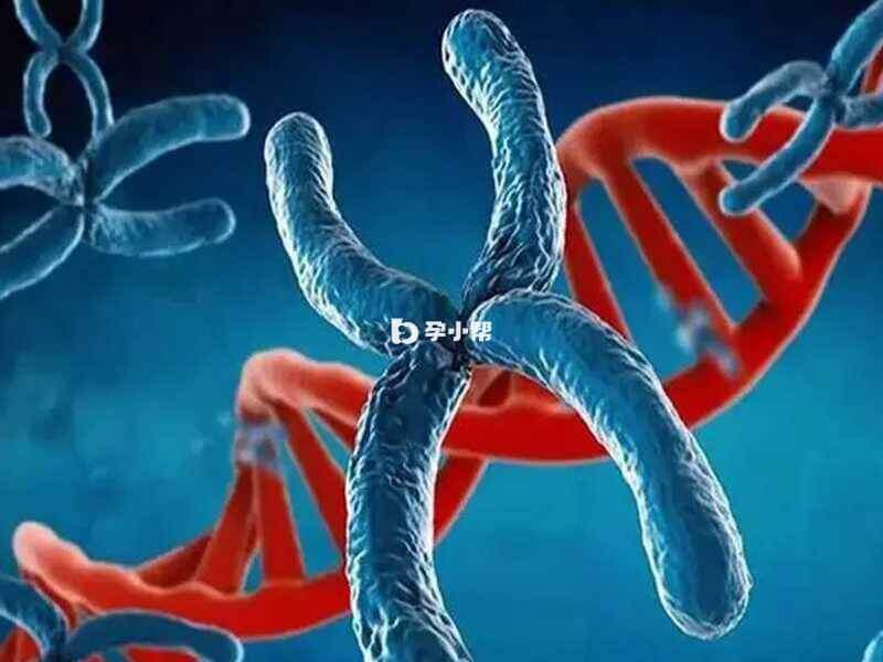 染色体异常容易遗传给孩子