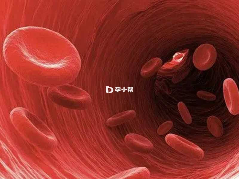 前白蛋白是血液中的一种成分