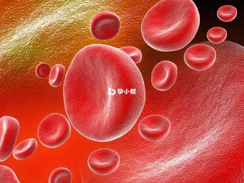 红细胞偏低可能是造血干细胞异常引起