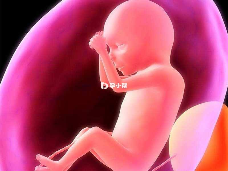 胎儿是否发动，不在于胎儿成熟度