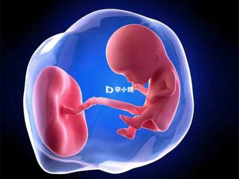 胎儿窘迫易造成脑水水肿