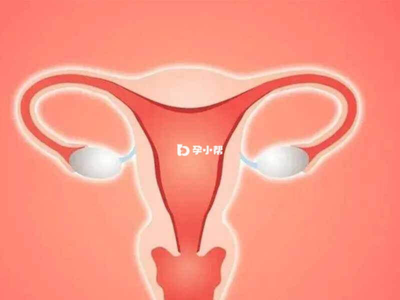 胎盘低置可能导致孕妇阴道出血
