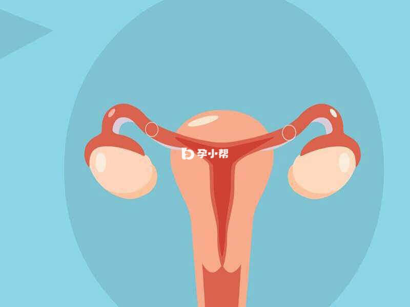 患有卵巢炎不适合怀孕