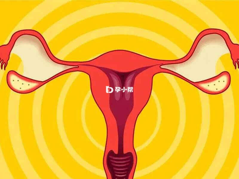 子宫内膜结核常见于20-40岁的女性