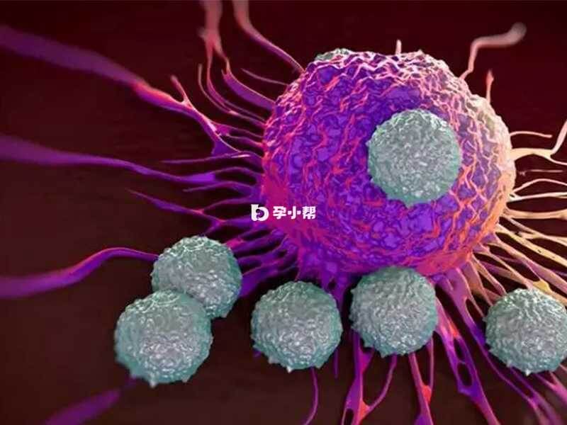 卵巢小细胞癌是一种罕见的癌症