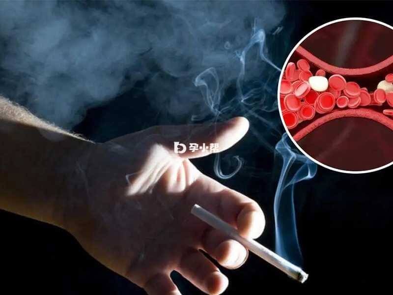 烟草中的尼古丁能降低人体免疫力