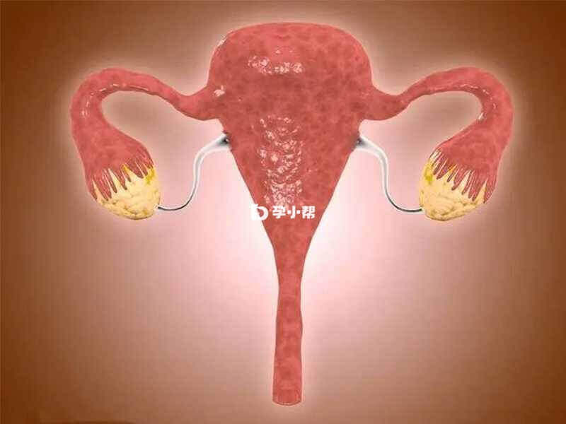 妊娠合并卵巢肿瘤发病于卵巢