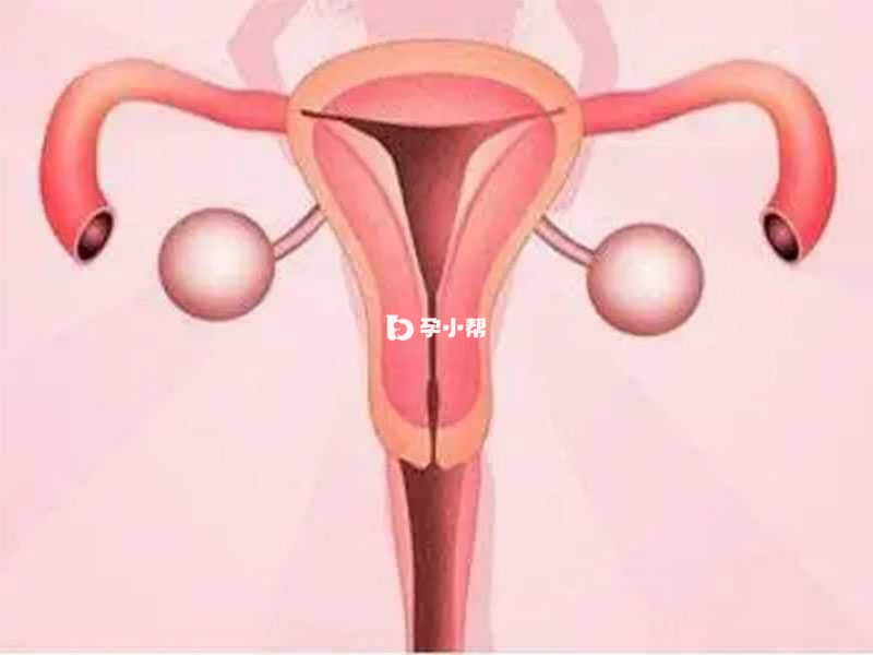 子宫积液又称为宫腔积液