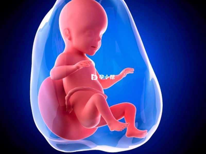 阴道检查可以判断胎儿位置