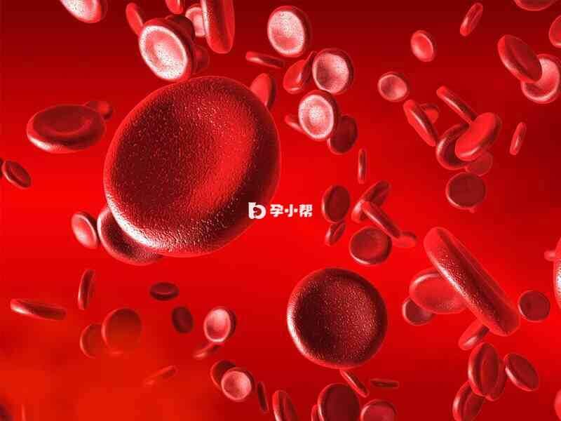 贫血是由于体内红细胞被破坏