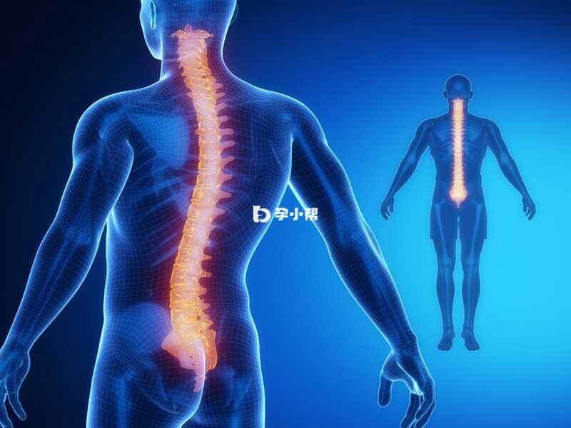 隐性脊柱裂发生在腰骶部