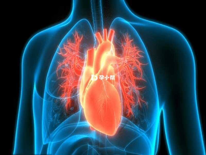 心肌致密化不全是遗传性疾病
