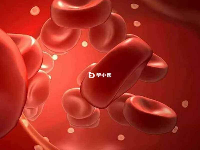 红细胞破坏速率增加导致贫血