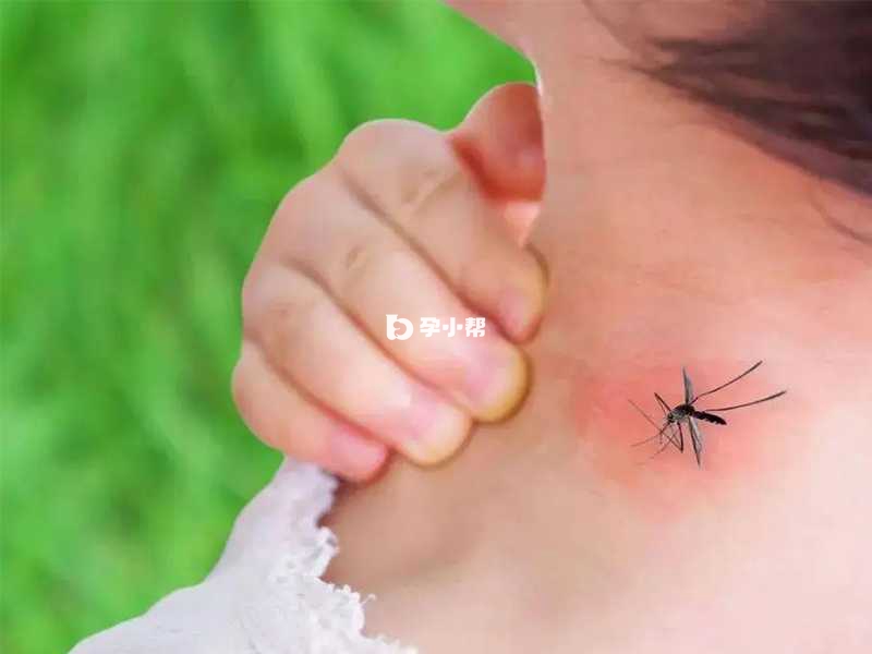 蚊虫叮咬皮肤容易发生破溃