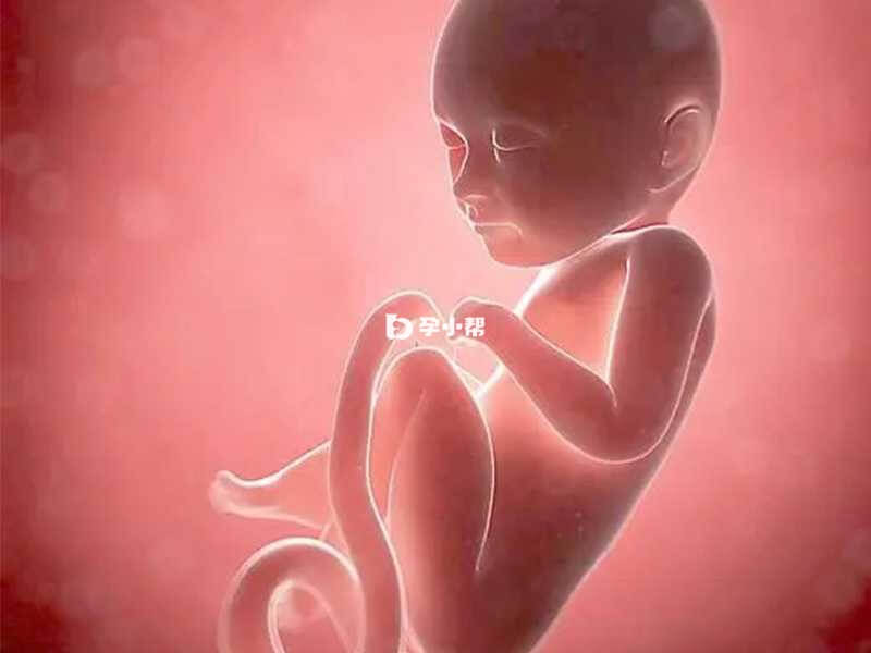 孕期营养不良会导致胎儿畸形