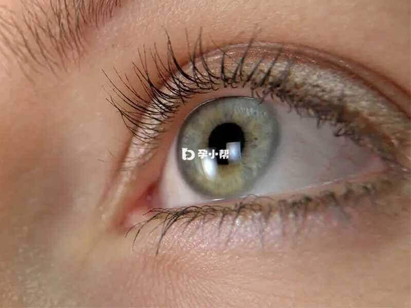 视网膜有两种感光细胞