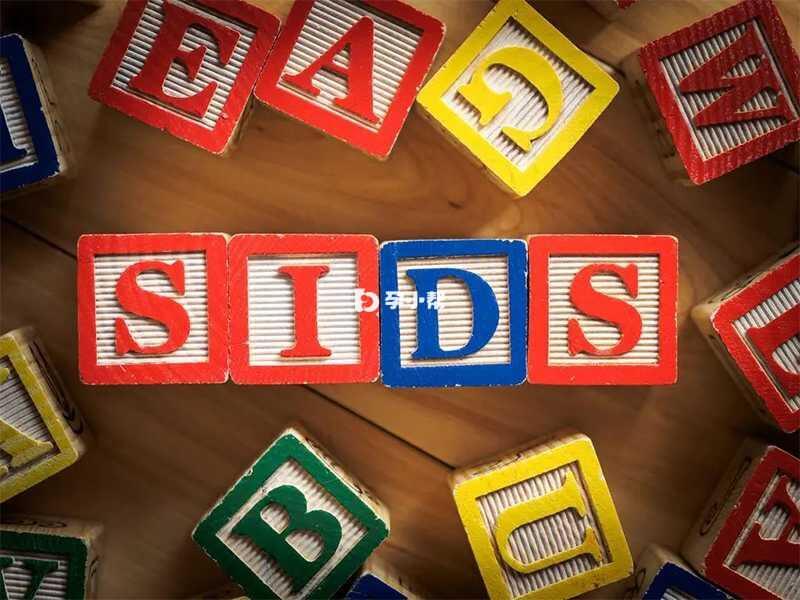 SQTS是SIDS的主要病因