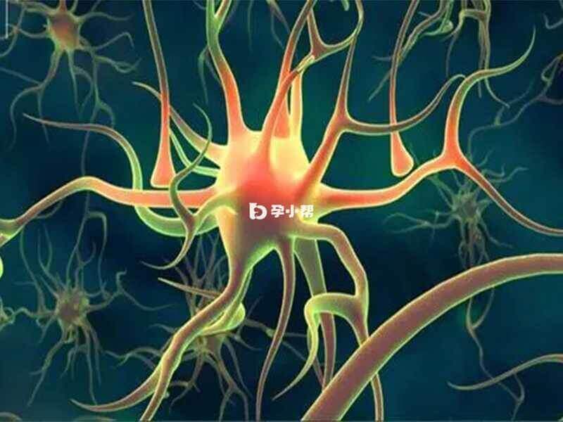 神经纤维瘤病多是由于基因突变