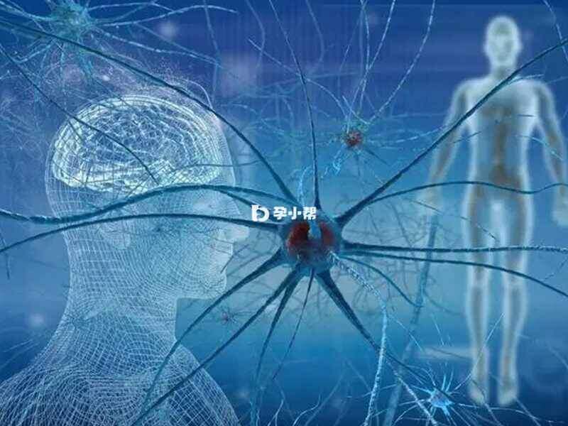 枫糖尿病导致神经系统受损