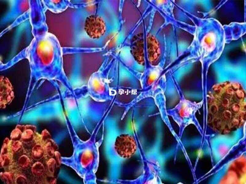 神经母细胞瘤是否遗传与基因有关