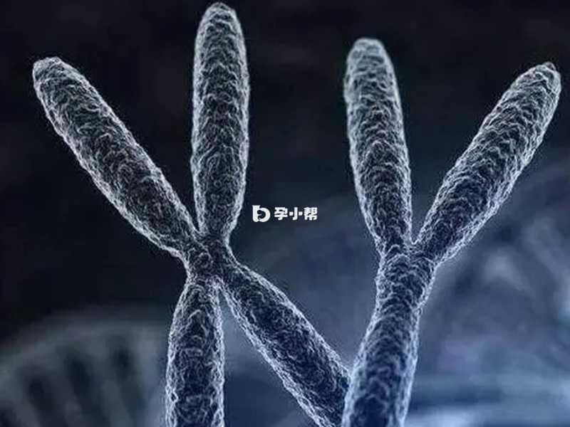 XXX综合征是一种染色体异常的疾病