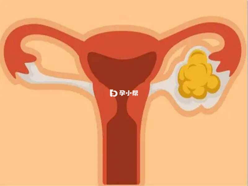 AMH数值低说明女性得卵巢功能较差