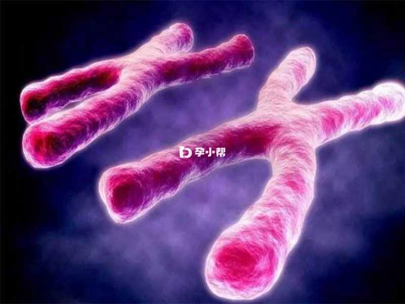 7号染色体异常出生的患儿体格小