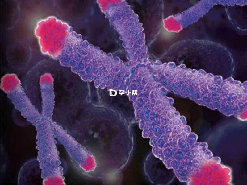 7号染色体异常会引发很多的疾病