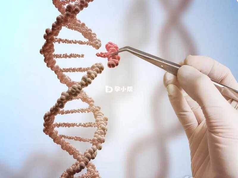 基因筛查和基因检测是两种检测基因状态的方法