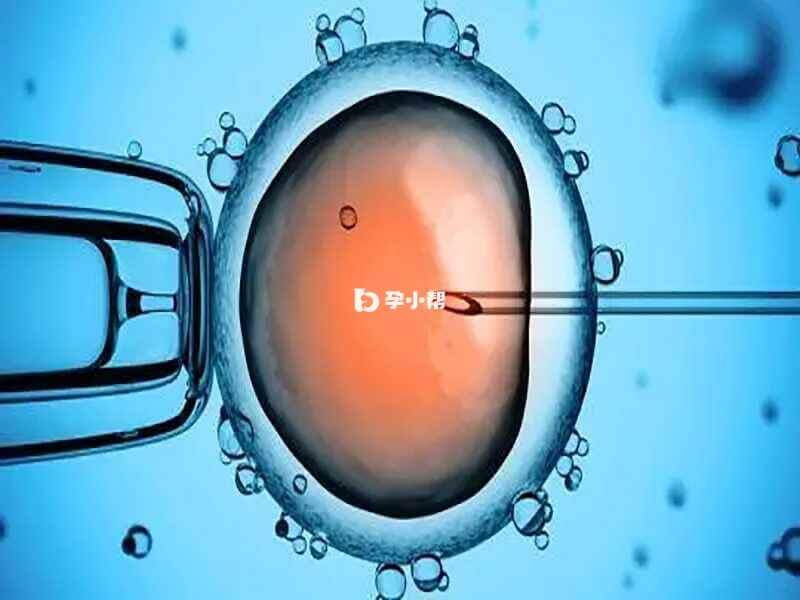 5bb胚胎优于6bb胚胎