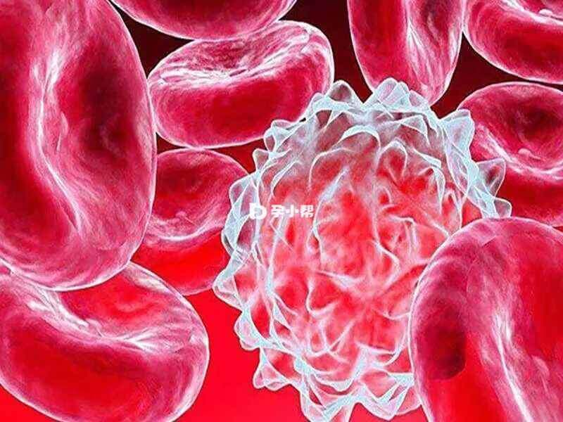 5q综合征的个体通常缺乏红细胞