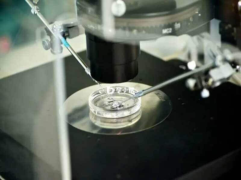 4ac胚胎移植成功率在40%-50%之间