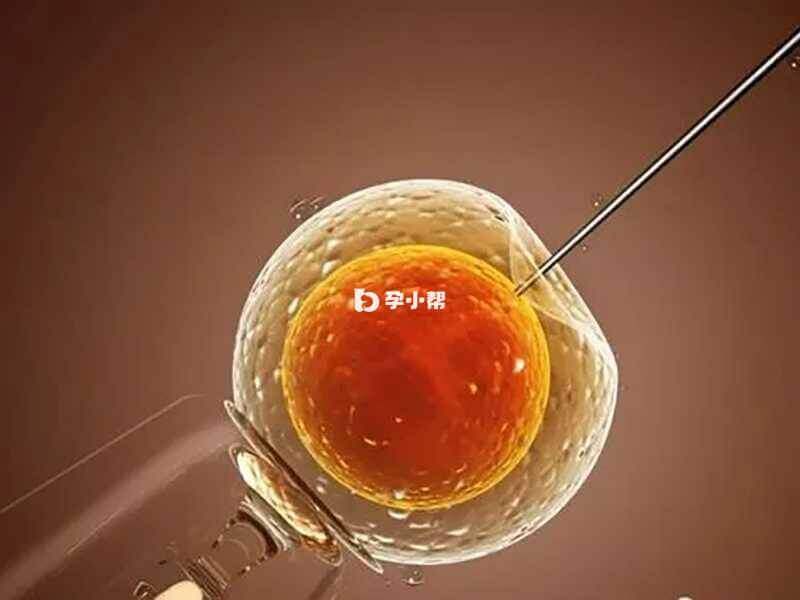 4ab囊胚属于质量等级较好的胚胎