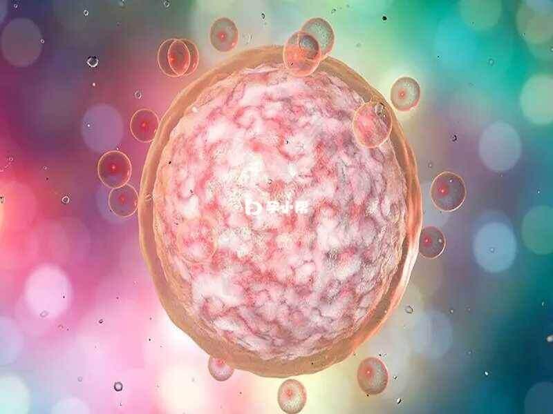 3bb胚胎属于2级胚胎