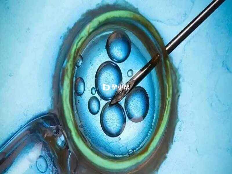 临床上移植会优先考虑优质囊胚